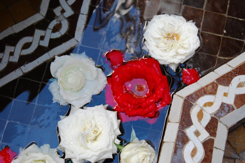 ホテル リヤド ビバ マラケシュ エクステリア 写真 Roses at the fountain